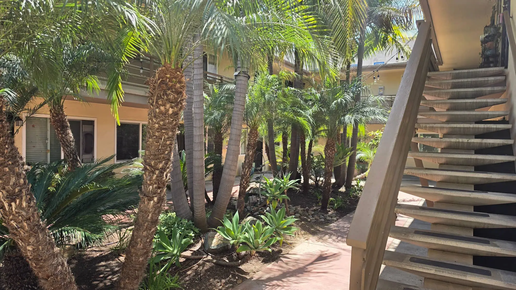 Lush courtyard at Hillcrest Place Apartments with palm trees and tropical landscaping