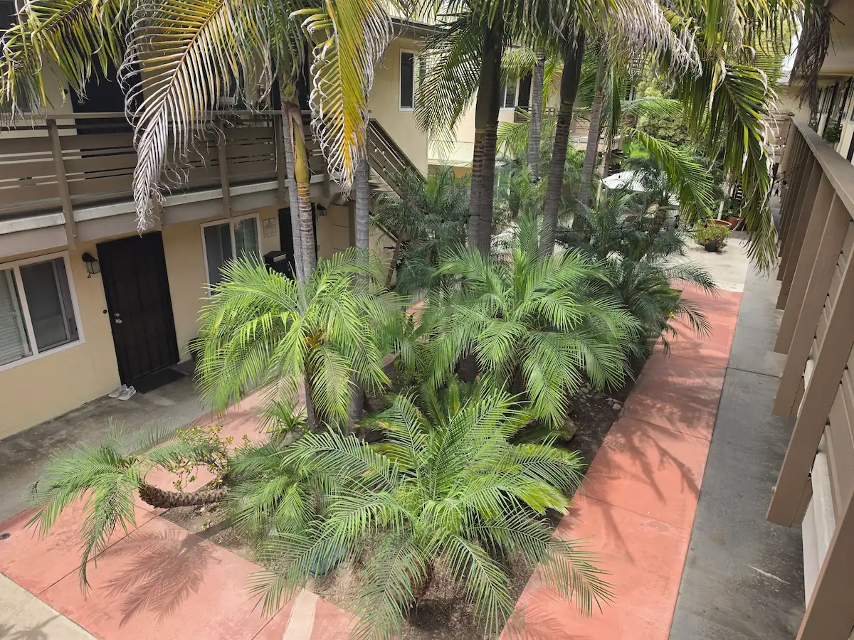 Hillcrest Place courtyard with mature palm trees and second-floor walkways