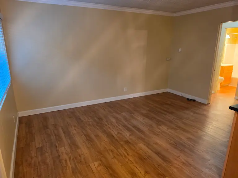 Living room from dining area