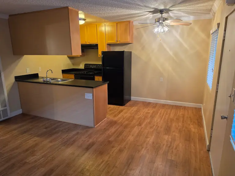 Living room and dining area