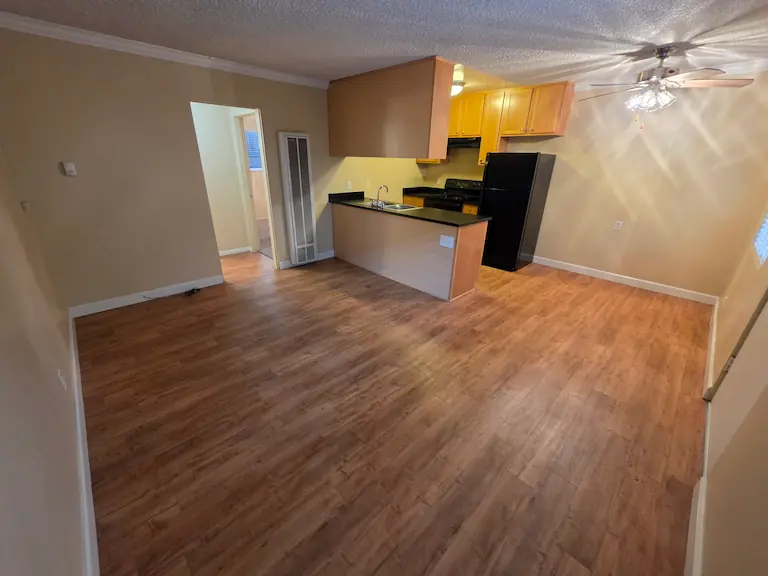 Living, dining, and kitchen areas