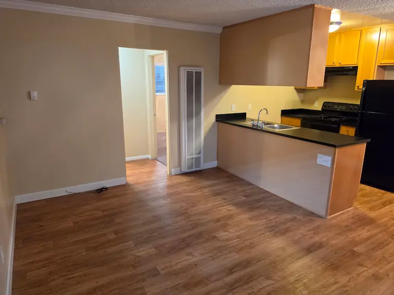 Living room and kitchen