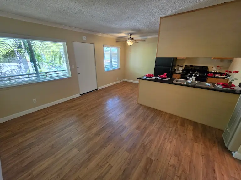 Living, dining, and kitchen with natural light